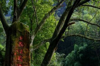 中国侏罗纪公园在哪?中国侏罗纪公园景点介绍