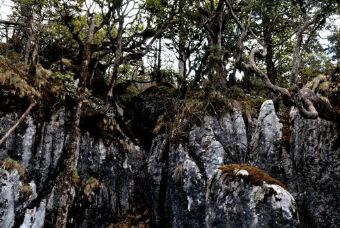 空石林景区在哪？空石林景区景点介绍