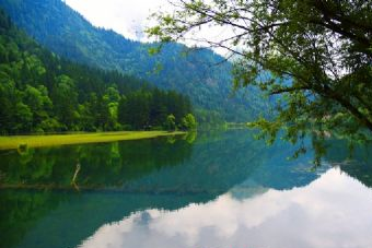 箭竹海在哪？箭竹海景点介绍