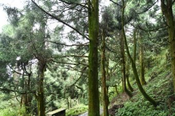 俄初山在哪？俄初山景点介绍