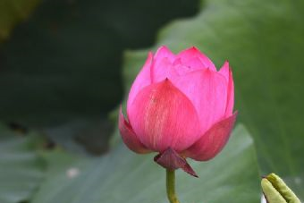 乌蒙山韭菜坪景区在哪?乌蒙山韭菜坪景区景点介绍