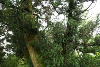 奶子山在哪?奶子山景点介绍