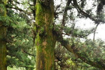 蛤蟆山在哪？蛤蟆山景点介绍