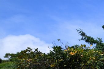 天鹅池景区在哪？天鹅池景区景点介绍