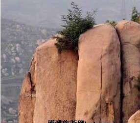 利山巨石群在哪？利山巨石群景点介绍