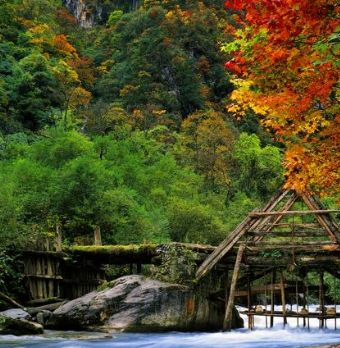 雅安东拉山大峡谷在哪?雅安东拉山大峡谷景点介绍