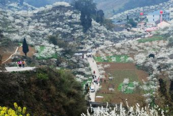 春风花海在哪？春风花海景点介绍