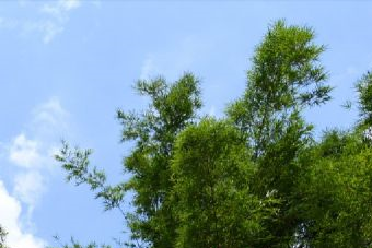 金川阿科里风景区在哪？金川阿科里风景区景点介绍