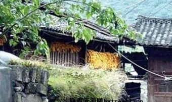 磨西古镇在哪？磨西古镇景点介绍