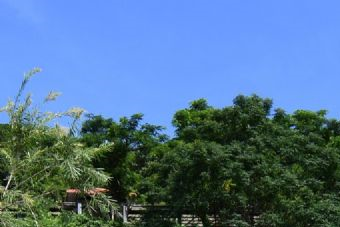 磨盘山风景区在哪？磨盘山风景区景点介绍