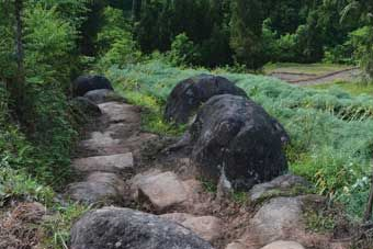 荔枝古道在哪？荔枝古道景点介绍