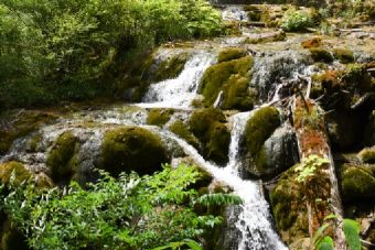 熊貓海瀑布在哪？熊貓海瀑布景點(diǎn)介紹