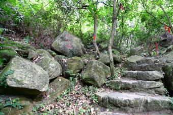 天鹅湖森林公园在哪？天鹅湖森林公园景点介绍