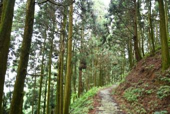 六盘水真龙山景区在哪?六盘水真龙山景区景点介绍
