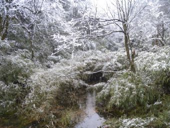 秘境大雪山在哪？秘境大雪山景点介绍