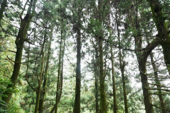 甘孜二郎山在哪？甘孜二郎山景点介绍