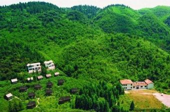 水杉山庄在哪？水杉山庄景点介绍