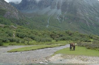 洛绒牛场在哪？洛绒牛场景点介绍