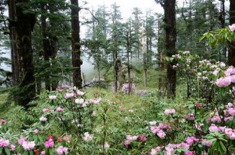 阿坝汶川三江生态区在哪？阿坝汶川三江生态区景点介绍