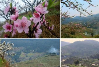 大竹峰顶山在哪?大竹峰顶山景点介绍