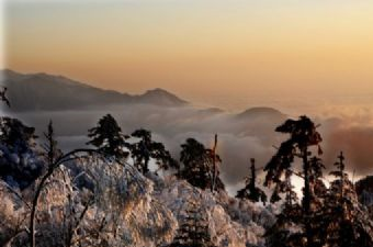 铁坪山景区在哪？铁坪山景区景点介绍