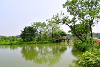 内蒙古巴美湖湿地公园在哪？内蒙古巴美湖湿地公园景点介绍