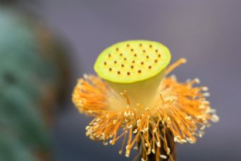 金北清真寺在哪？金北清真寺景点介绍