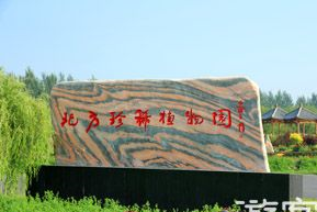 开原北方珍稀植物园在哪？开原北方珍稀植物园景点介绍