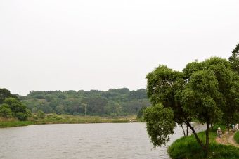 小青湖水上乐园在哪？小青湖水上乐园景点介绍