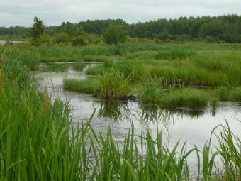 黑龙江虎林国家湿地公园在哪？黑龙江虎林国家湿地公园景点介绍