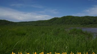 吉林汪清嘎呀河国家湿地公园在哪？吉林汪清嘎呀河国家湿地公园景点介绍