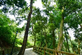 卓望山森林公园在哪？卓望山森林公园景点介绍