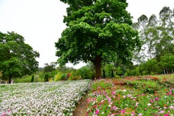 蜀冈西峰生态园在哪？蜀冈西峰生态园景点介绍
