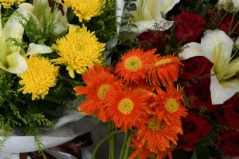 彭家垴革命烈士纪念园在哪？彭家垴革命烈士纪念园景点介绍