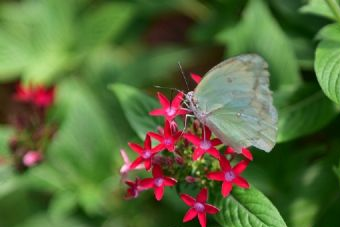 友誼村遼墓在哪？友誼村遼墓景點介紹