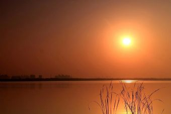 庐阳董铺国家湿地公园在哪？庐阳董铺国家湿地公园景点介绍