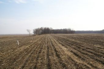 同仁遗址在哪？同仁遗址景点介绍
