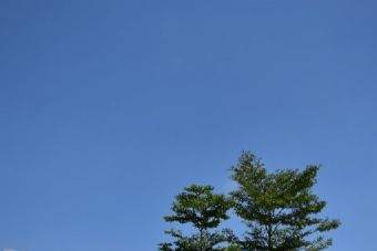 阮元墓在哪？阮元墓景點介紹