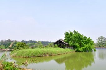 遼寧北鎮(zhèn)新立湖濕地公園在哪？遼寧北鎮(zhèn)新立湖濕地公園景點介紹