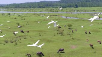 六安淠河国家湿地公园在哪？六安淠河国家湿地公园景点介绍