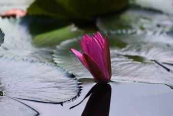 农兴渔家休闲农庄在哪？农兴渔家休闲农庄景点介绍