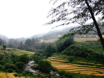 西边山桃寮村在哪？西边山桃寮村景点介绍