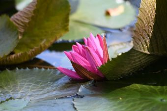 熙龙生态农庄在哪？熙龙生态农庄景点介绍