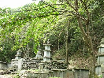 禅师塔林在哪？禅师塔林景点介绍