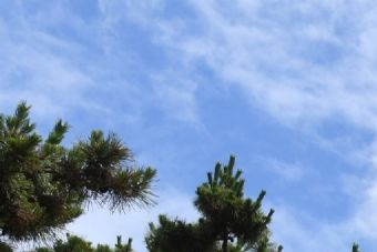 三里堌堆遗址在哪？三里堌堆遗址景点介绍