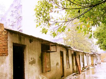 长春街在哪？长春街景点介绍