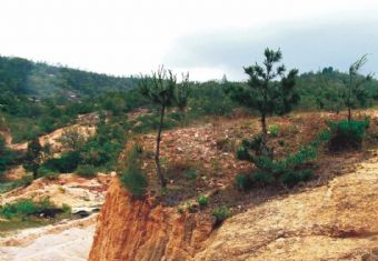 翔安古窑遗址在哪？翔安古窑遗址景点介绍