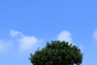 大架山遗址在哪？大架山遗址景点介绍