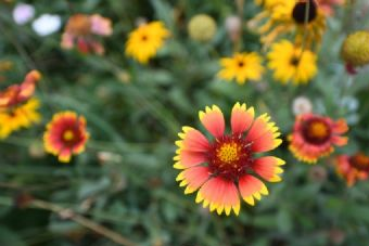 乌龟山遗址在哪？乌龟山遗址景点介绍