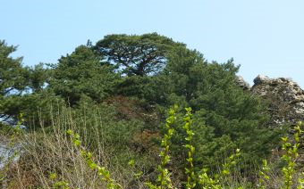 吉林白山原麝自然保护区在哪？吉林白山原麝自然保护区景点介绍